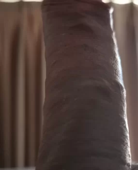 厦门黑粗大